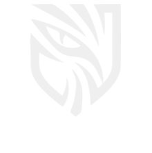 Ocular